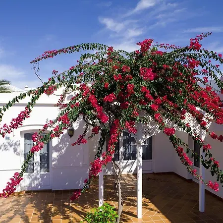 Lägenhetshotell Livvo Coloradamar Playa Blanca (Lanzarote)